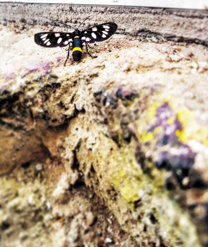 on the edge