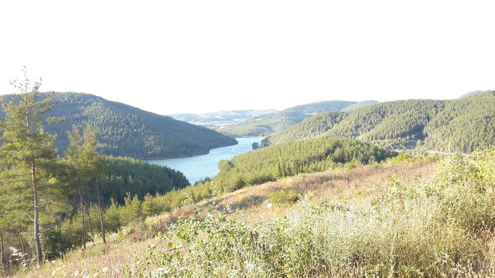 river and grass