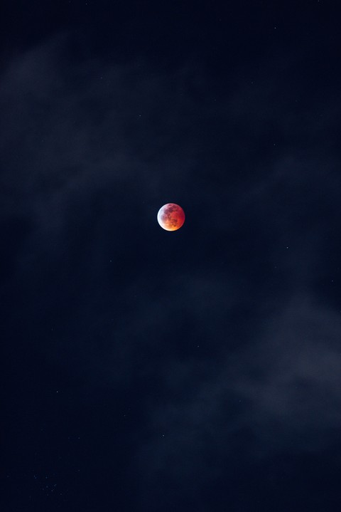 moon, moonlight壁纸