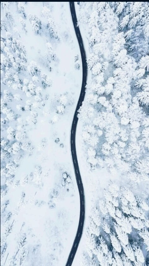 winter