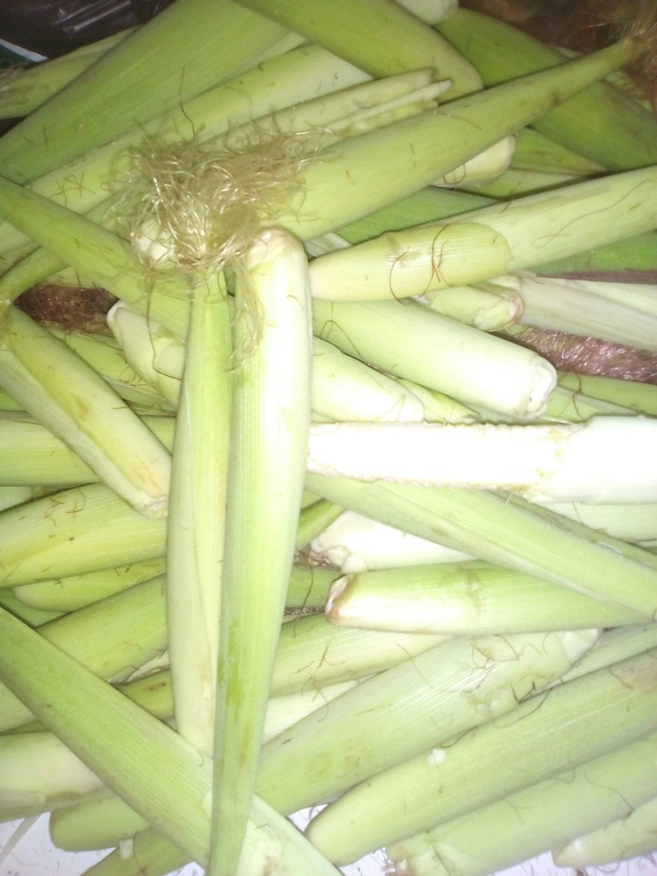 corn