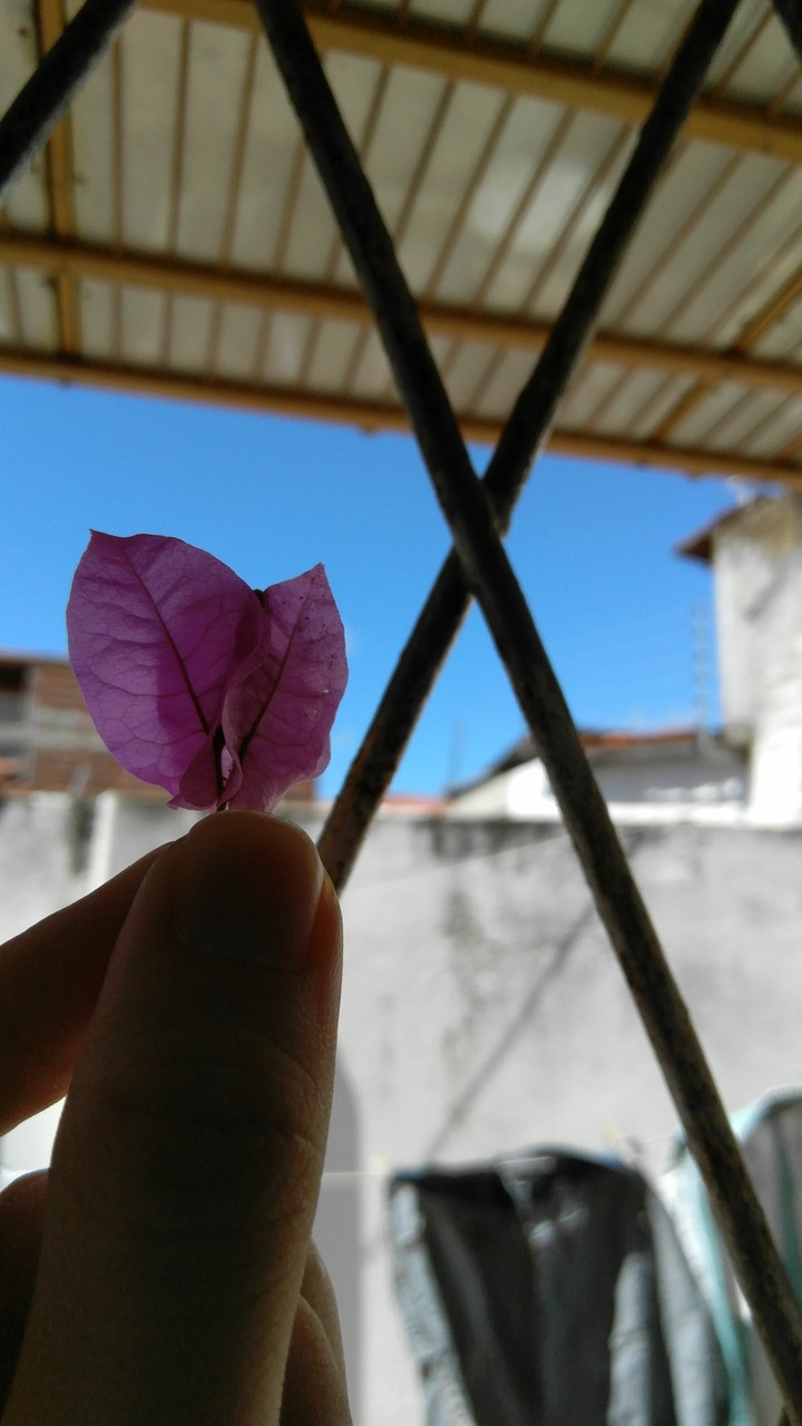 Nature.
