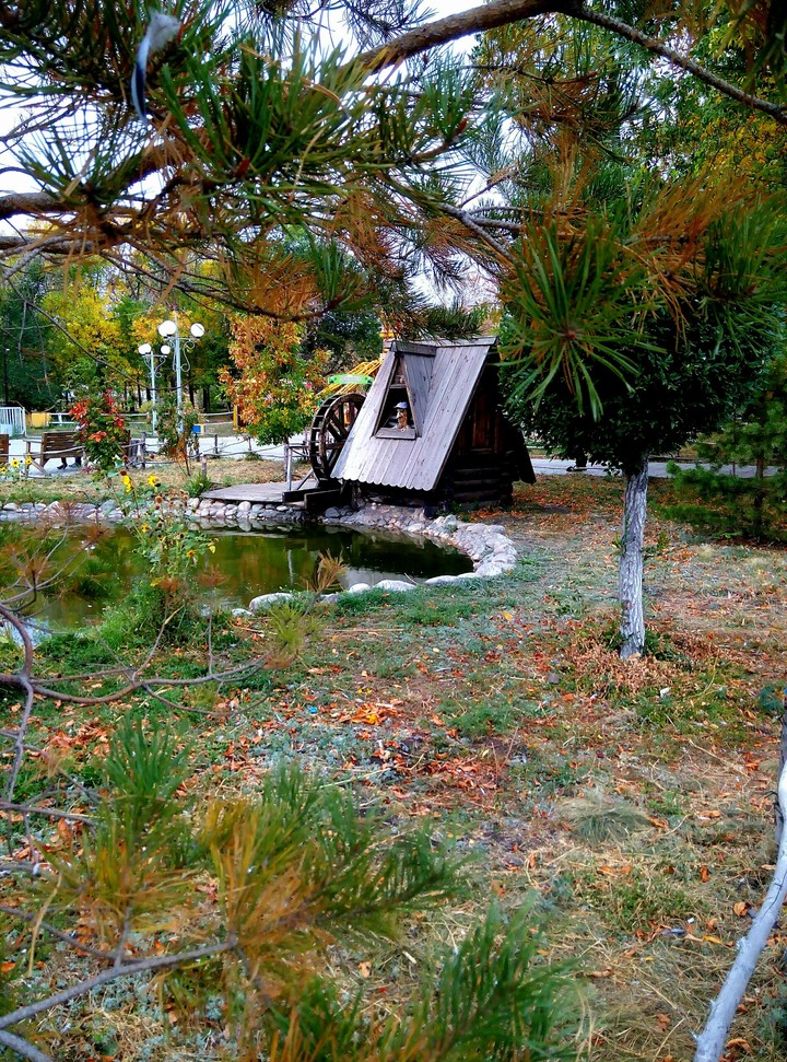 Autumn in the park...
