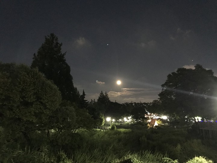 달빛