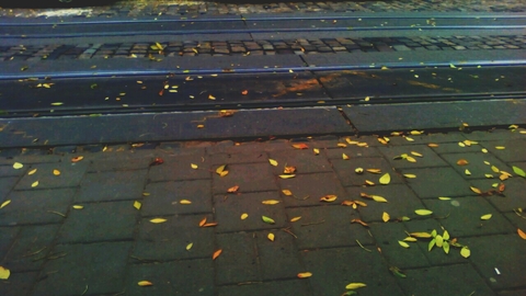autum