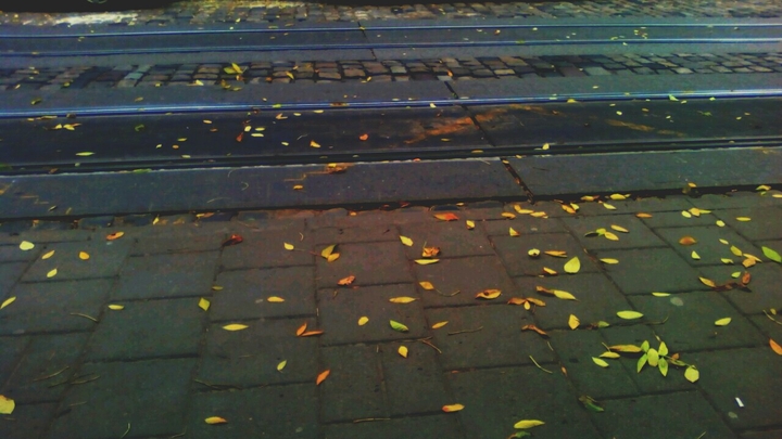 autum 