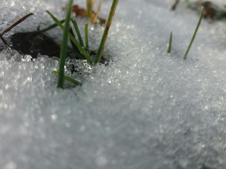 snow too