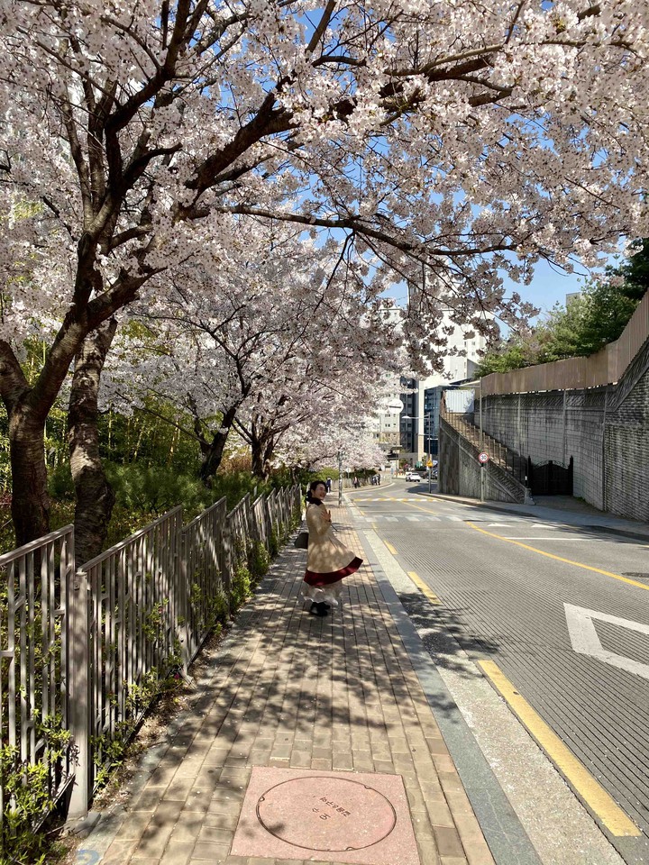 street at Spring