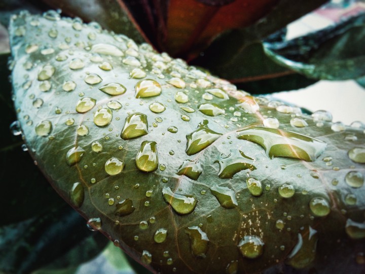 Water droplets