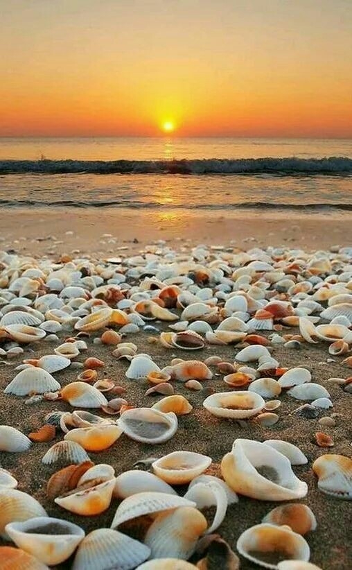 At the sea