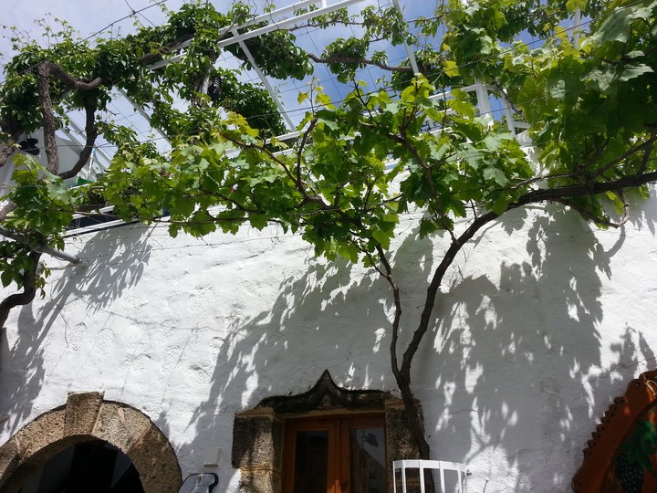 Greece