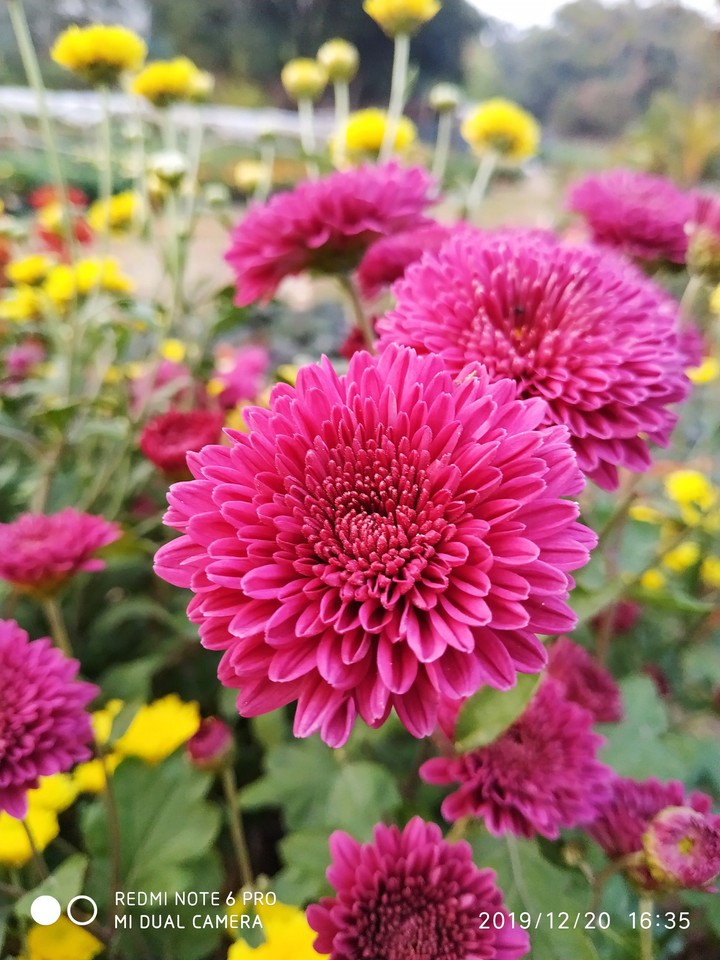 Nursery