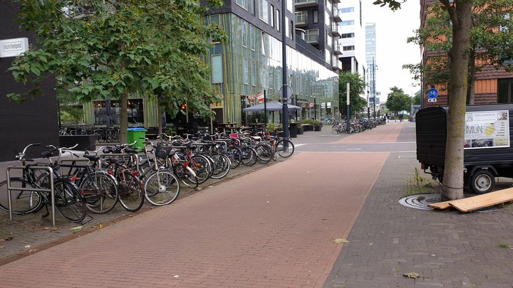 bikes