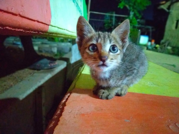 cuteness..