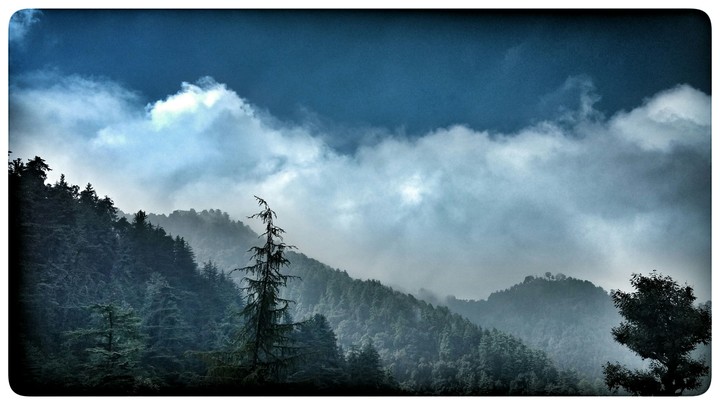 Shimla
