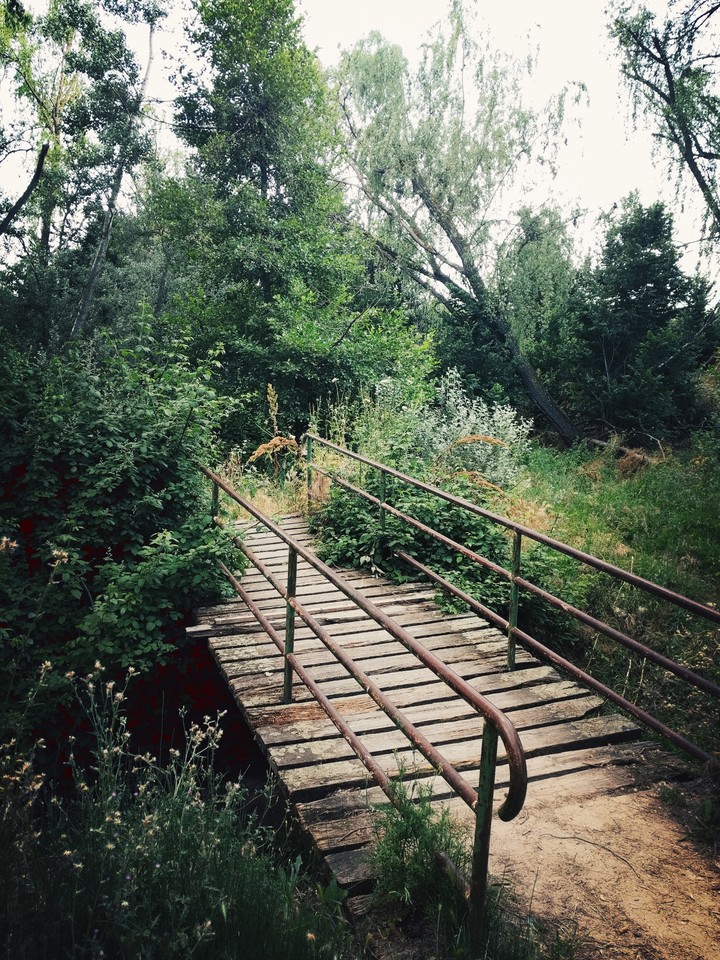 naturaleza