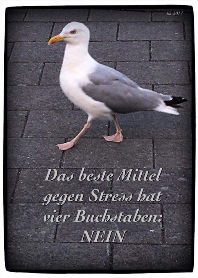 NEIN!