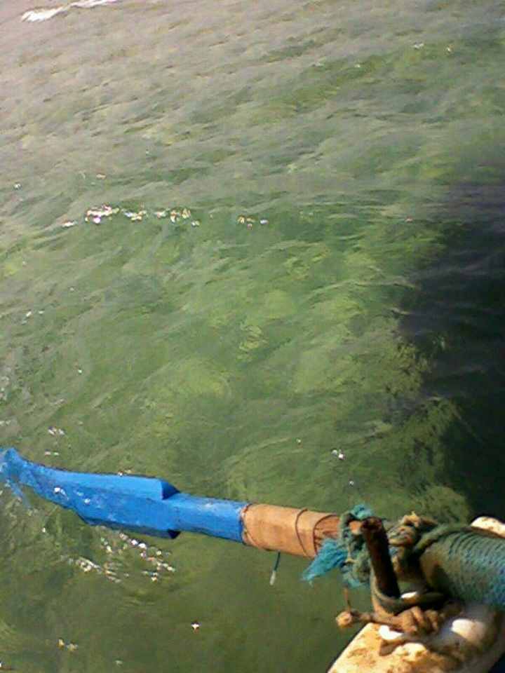 sea