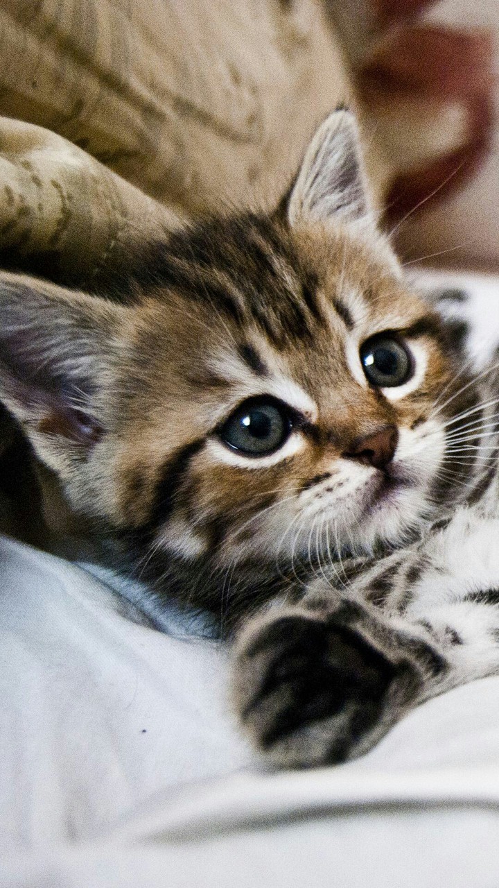 cute