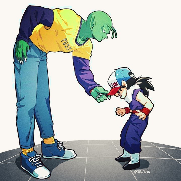 Piccolo & Gohan