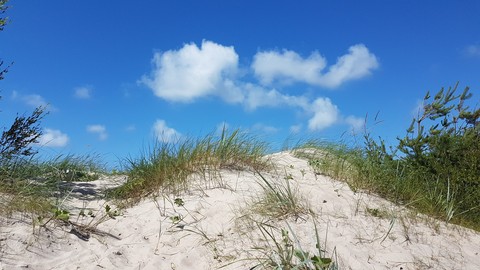 Dune