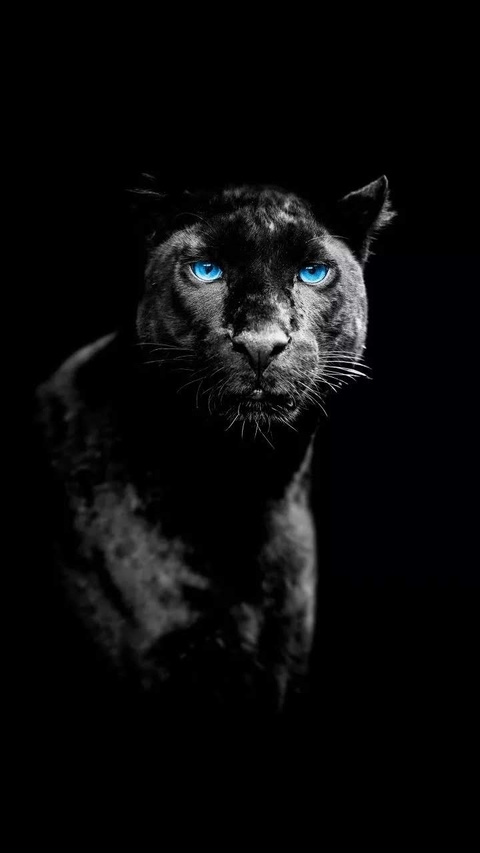 Black Panther
