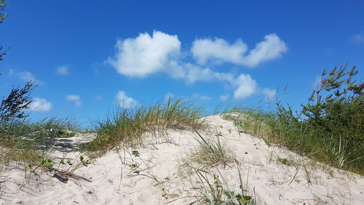 Dune