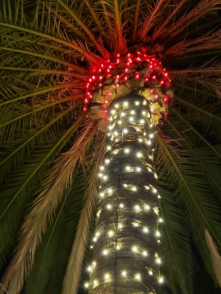 Christmas in California