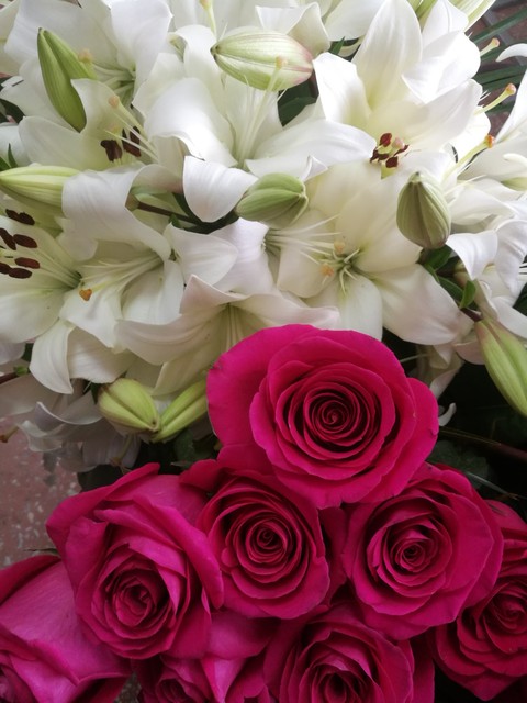 flowers
