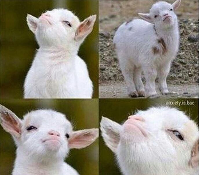 Goat Forev3r