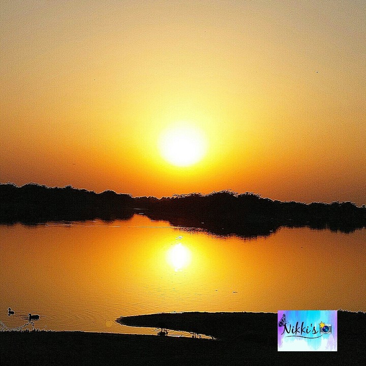 Shade of Sunset