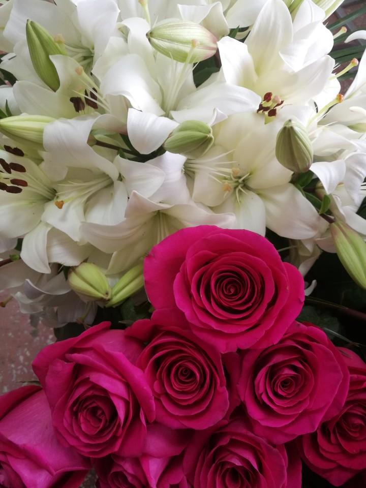flowers