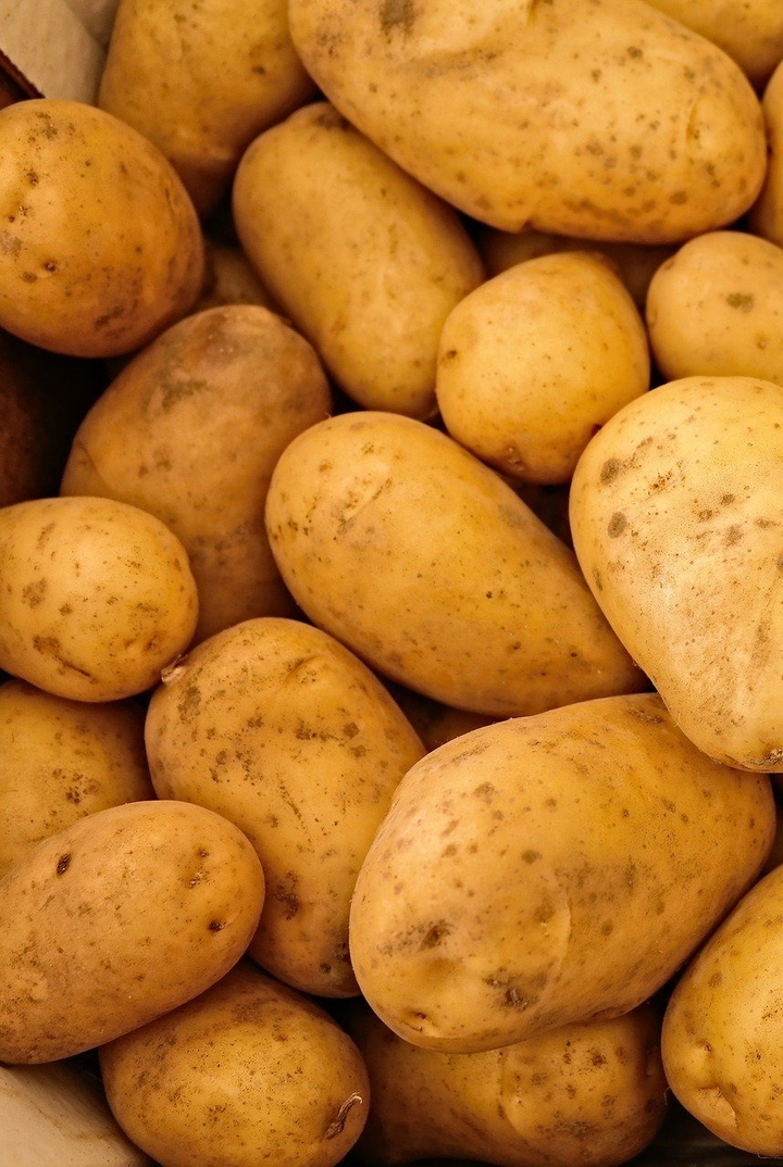 Potato
