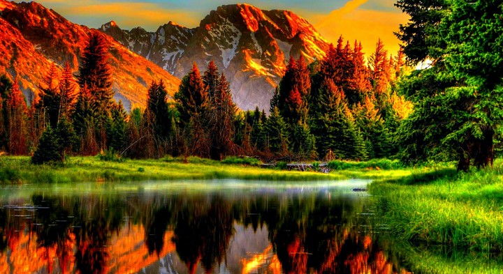 beautiful
