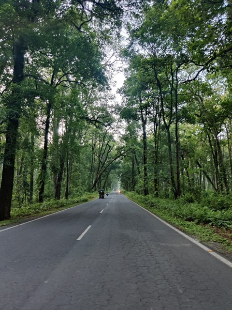 tar, drive वॉलपेपर