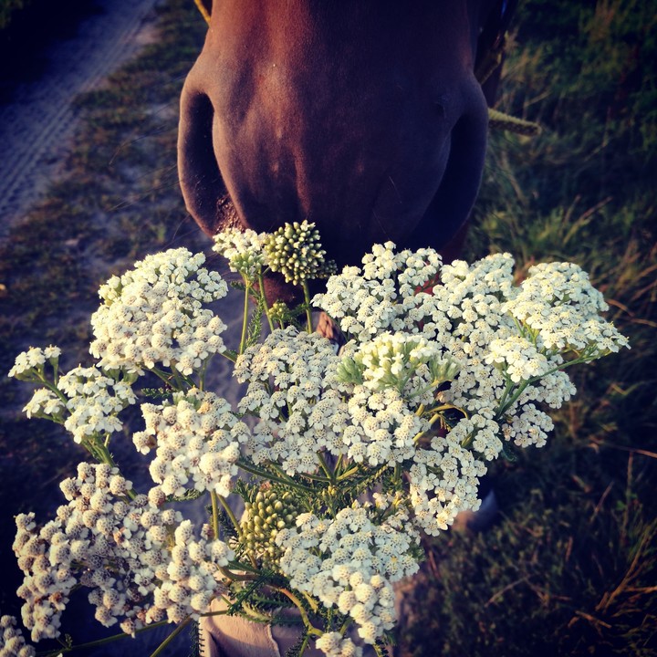 Flower power