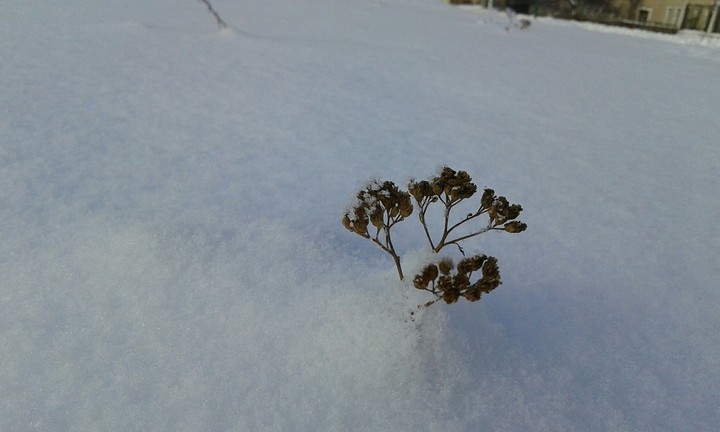 ❄