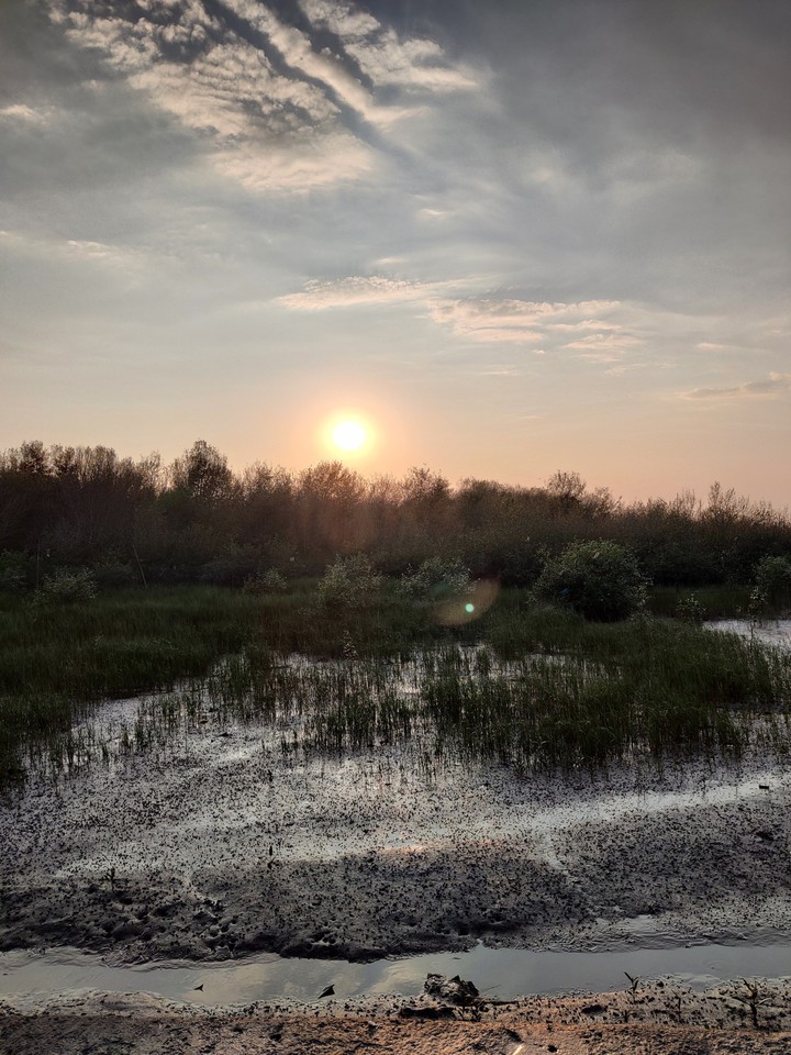 back waters