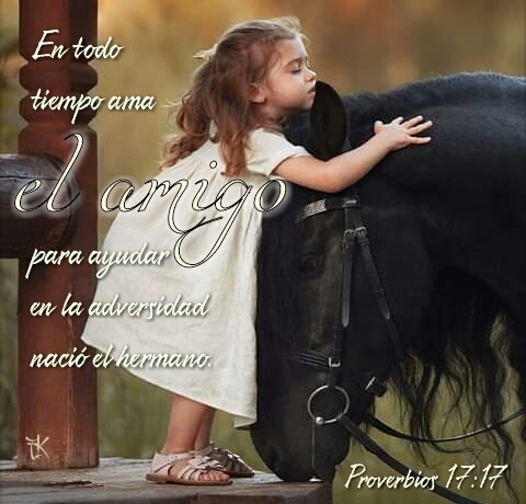 amigo