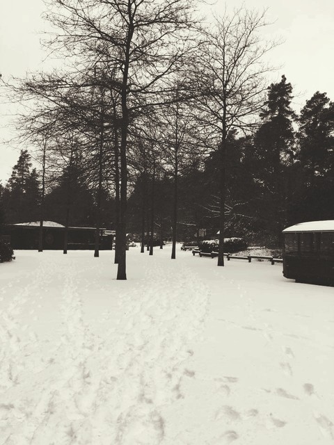 ice cold holidays