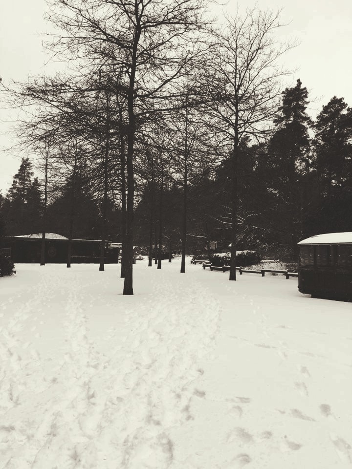 ice cold holidays