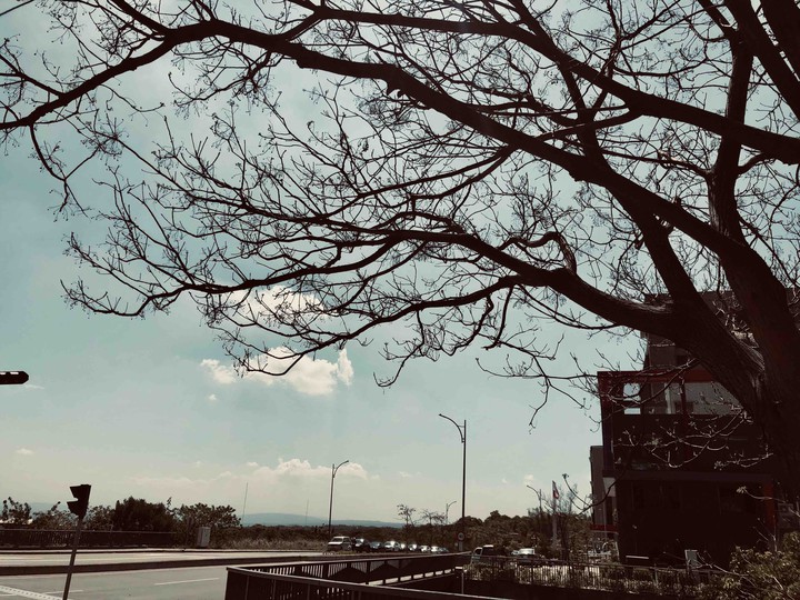 Taiwan