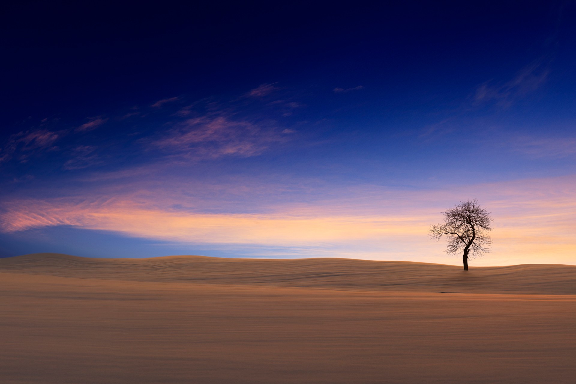 Desert at Dawn