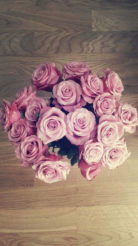Pink roses