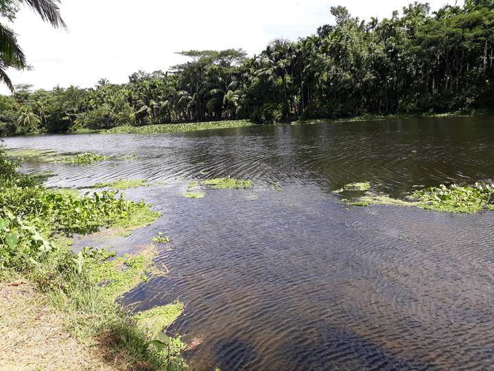 Village River