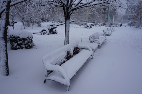 Covered in snow