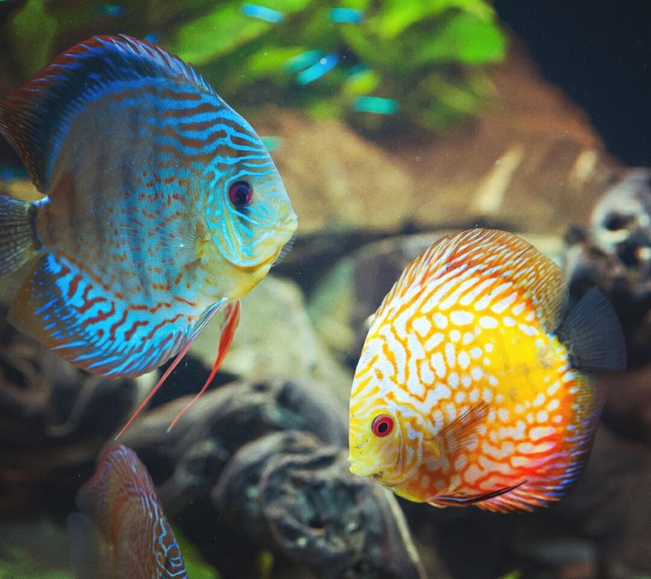 Cute couple