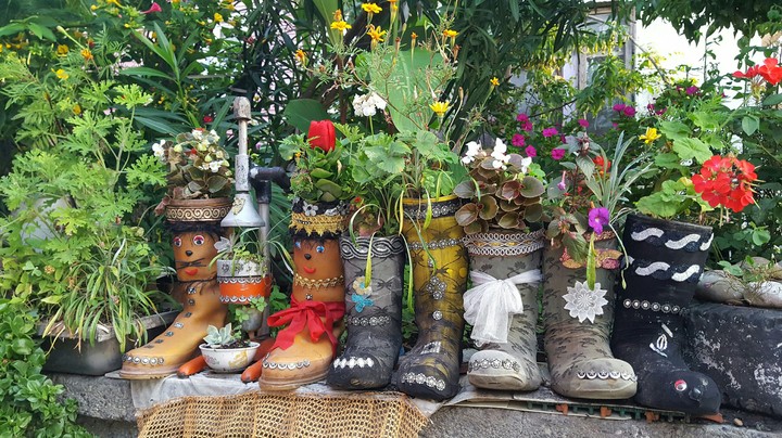 sweetboots