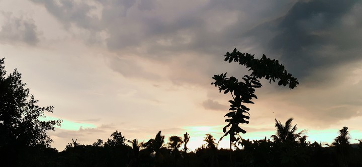 the sun set