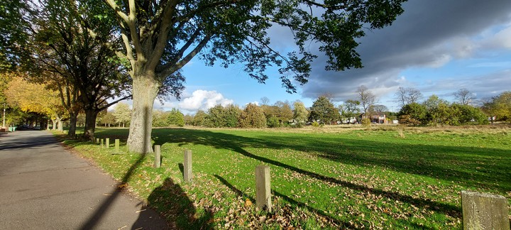 sunshine enjoyment
